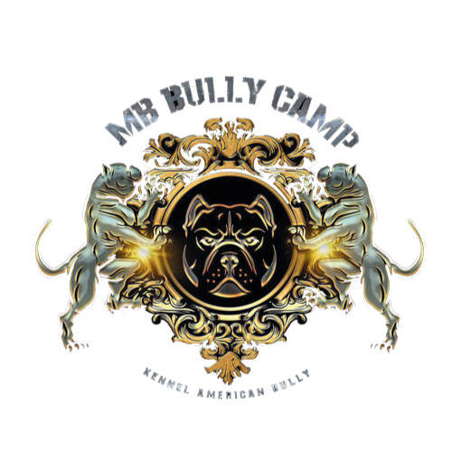 Logo MB BULLY CAMP